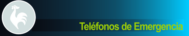 Telefonos de Emergencia