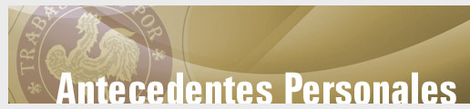 Antecedentes